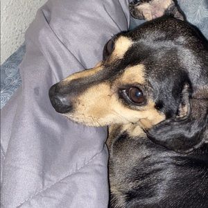 Meet your Posher, Jacob